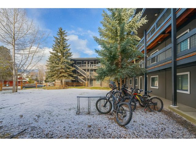 214 S Harris St 101, Breckenridge, CO 80424