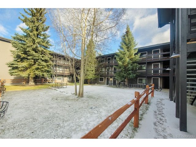 214 S Harris St 101, Breckenridge, CO 80424