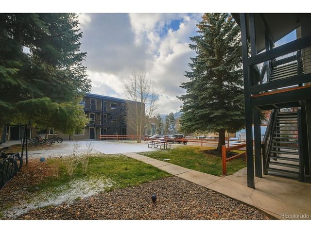 214 S Harris St 101, Breckenridge, CO 80424