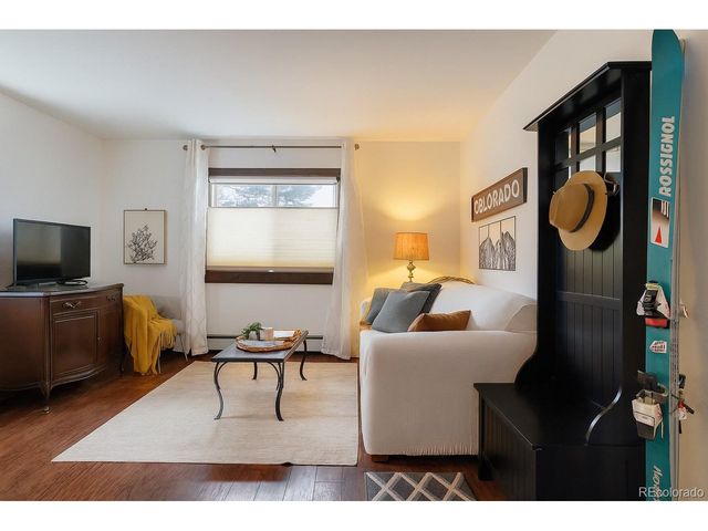 214 S Harris St 101, Breckenridge, CO 80424