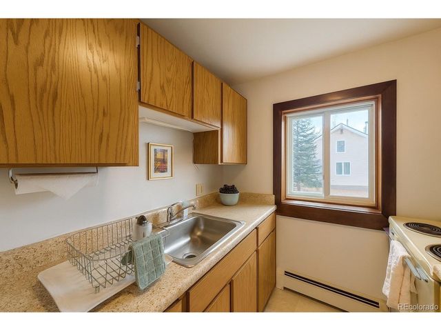 214 S Harris St 101, Breckenridge, CO 80424
