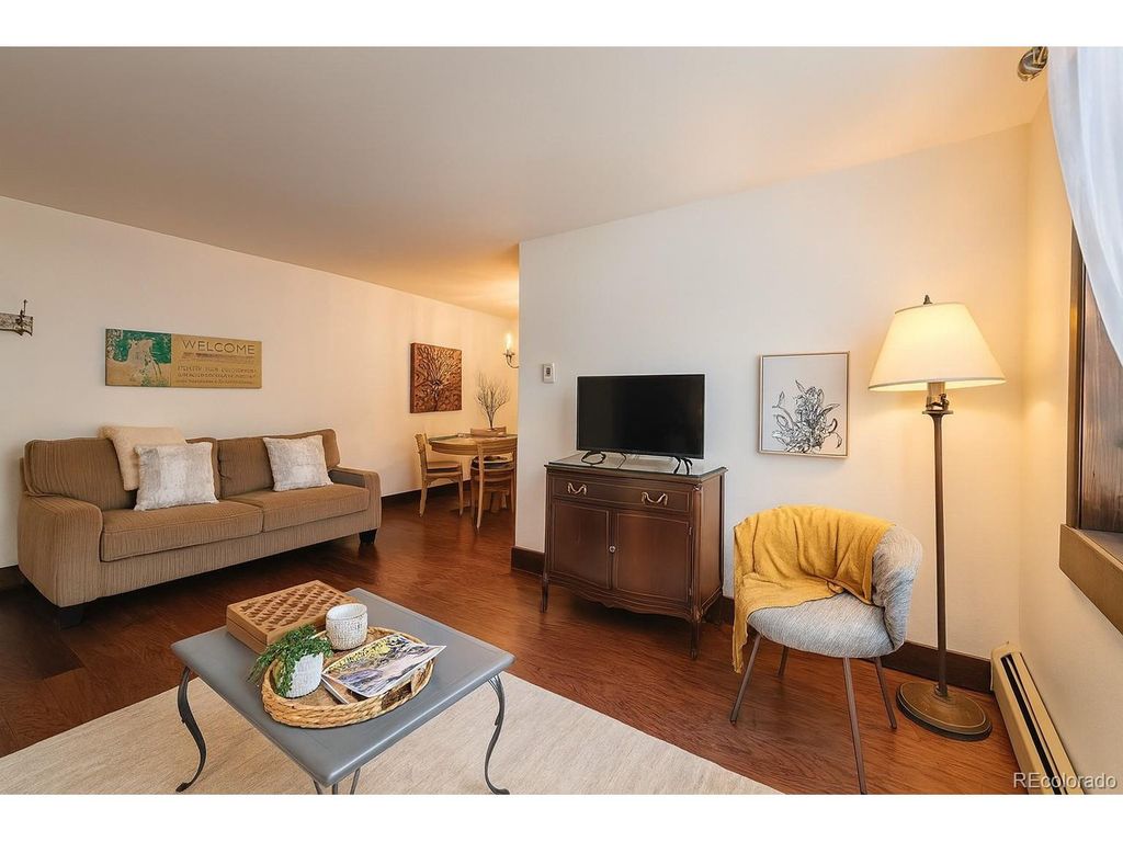 214 S Harris St 101, Breckenridge, CO 80424