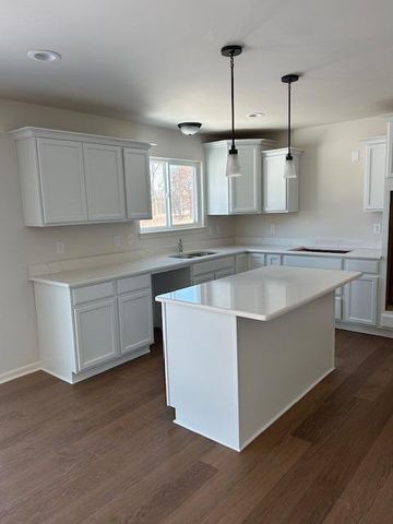 6470 Earl June Court, Dexter Twp, MI 48130