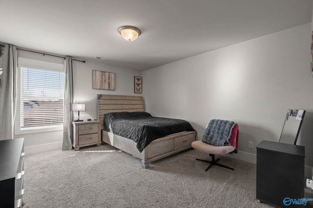 101 River Springs Court, New Market, AL 35761