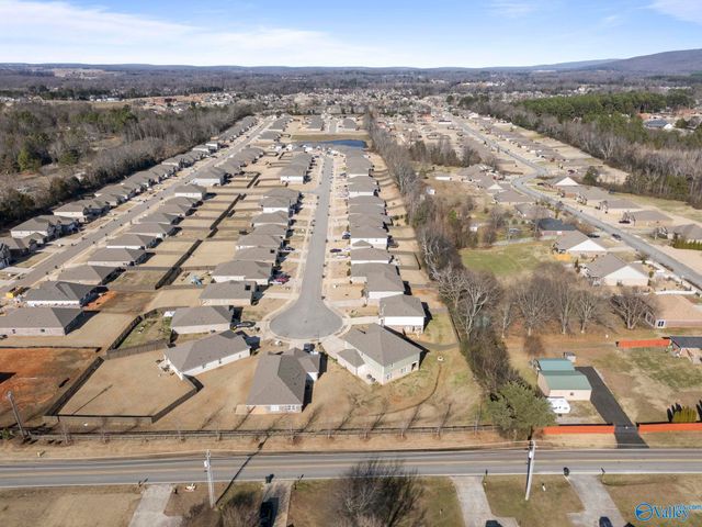 101 River Springs Court, New Market, AL 35761