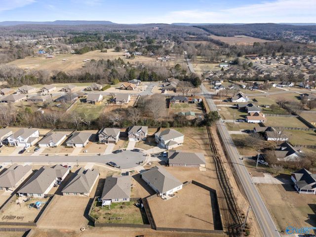 101 River Springs Court, New Market, AL 35761