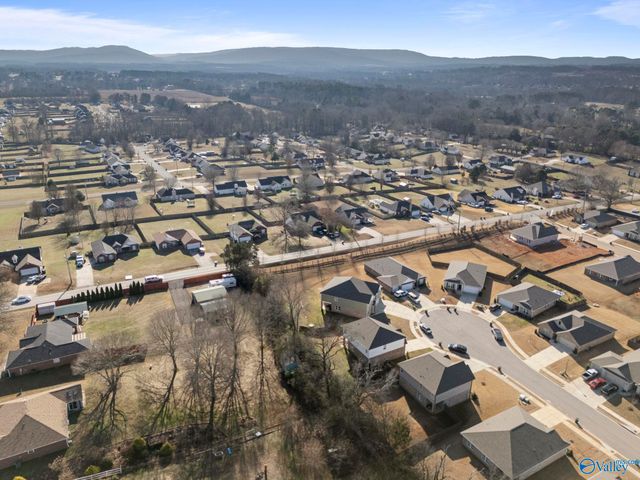 101 River Springs Court, New Market, AL 35761