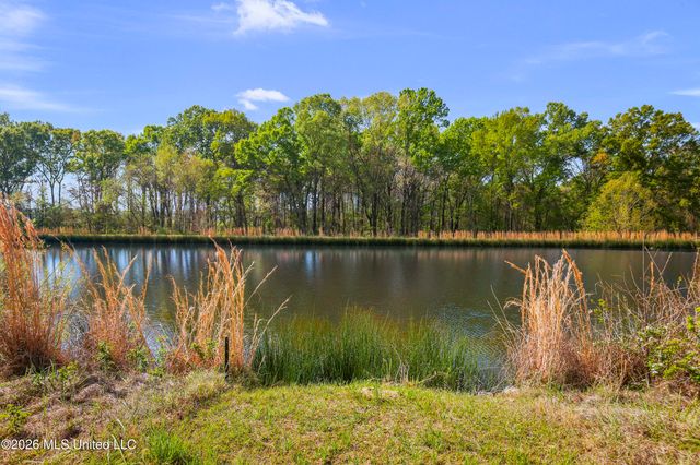 175 Shore View Drive, Madison, MS 39110