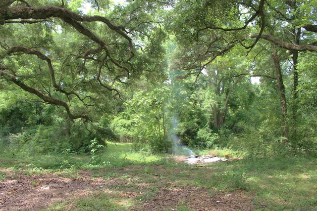 21601 Plank Rd, Zachary, LA 70791