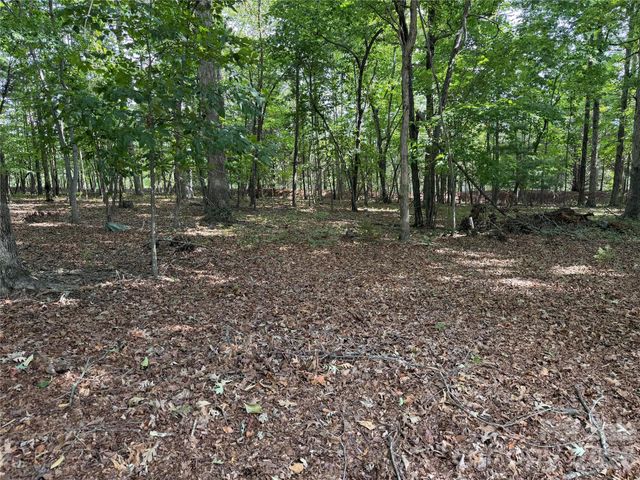 556 Gilbert Road, Columbus, NC 28722