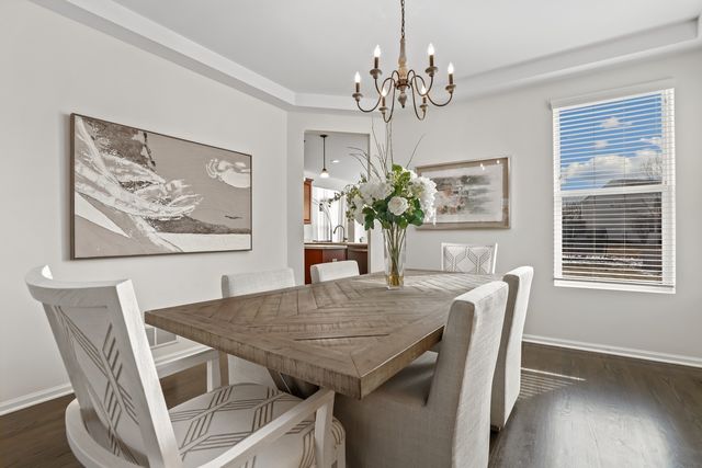 12843 Bradford Lane, Plainfield, IL 60585