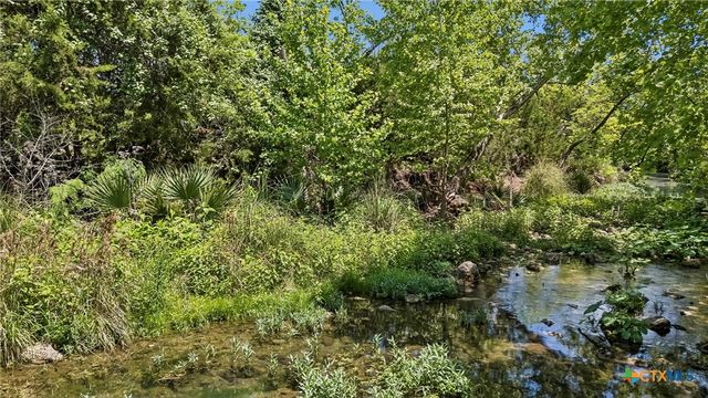 521 Rittimann Road, Spring Branch, TX 78070
