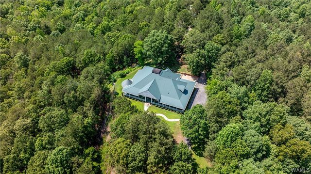 13447 Rocky Ridge, Northport, AL 35475