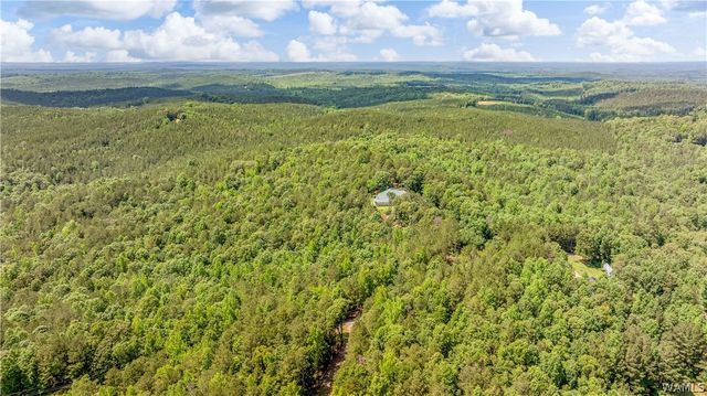 13447 Rocky Ridge, Northport, AL 35475