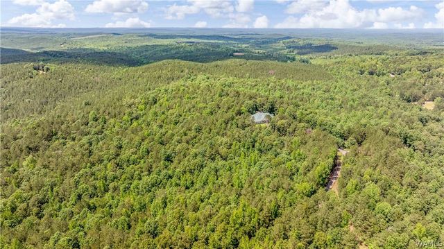 13447 Rocky Ridge, Northport, AL 35475