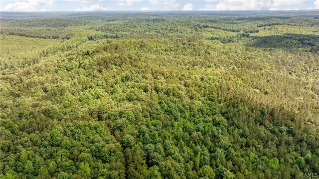 13447 Rocky Ridge, Northport, AL 35475