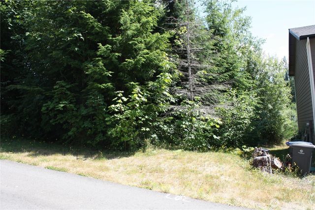 70 E Ellinor Peak Place, Belfair, WA 98528