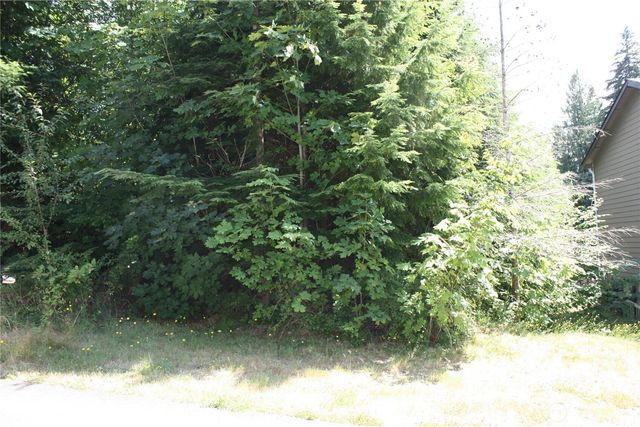 70 E Ellinor Peak Place, Belfair, WA 98528