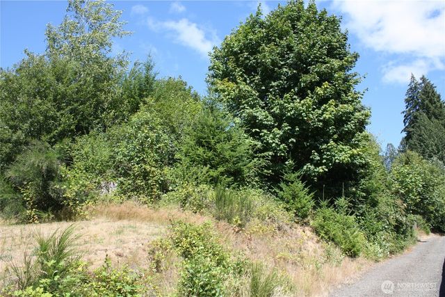 70 E Ellinor Peak Place, Belfair, WA 98528