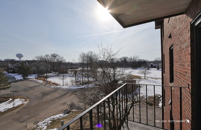 100 Clubhouse Lane 206, Lake Zurich, IL 60047