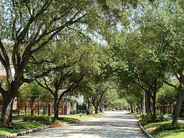 4041 Law Street 606, Houston, TX 77005