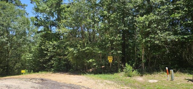 00 Blanks Bend Road Bend, Coldspring, TX 77331