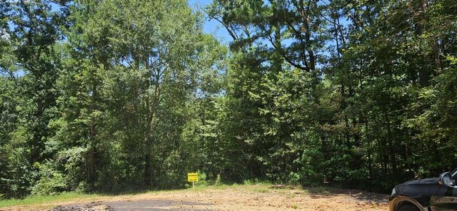 00 Blanks Bend Road Bend, Coldspring, TX 77331