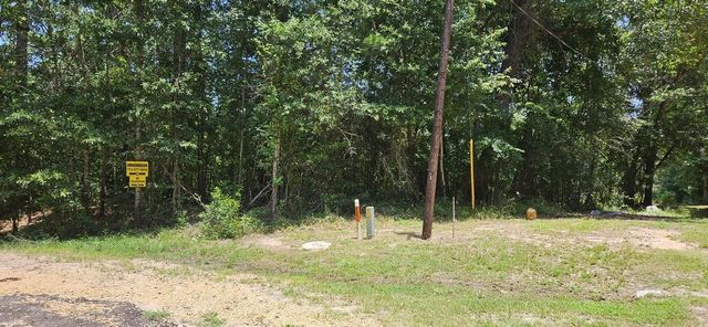 00 Blanks Bend Road Bend, Coldspring, TX 77331