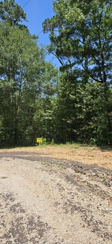 00 Blanks Bend Road Bend, Coldspring, TX 77331