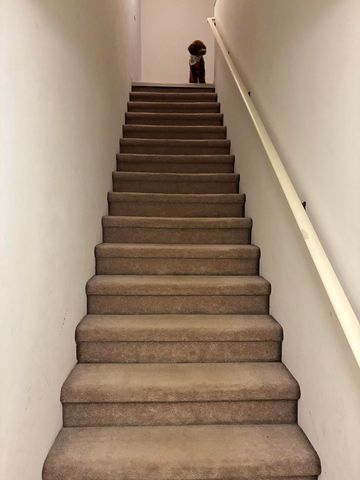 3138 Primrose Lane, Ypsilanti City, MI 48197