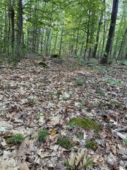 354 Dickinson Hill Road, Bolton, NY 12824