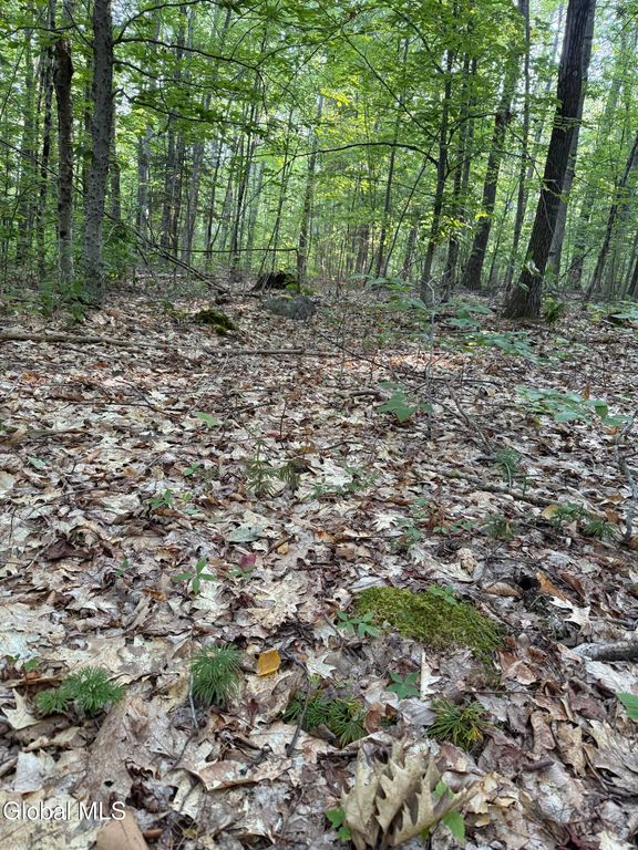 354 Dickinson Hill Road, Bolton, NY 12824