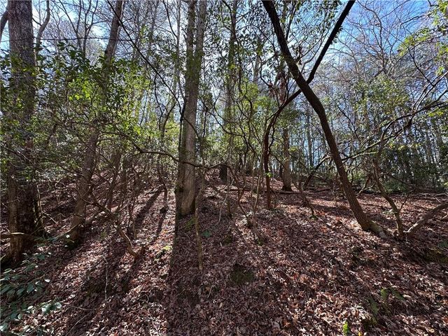 0 Coffee Mill Run, Talking Rock, GA 30175