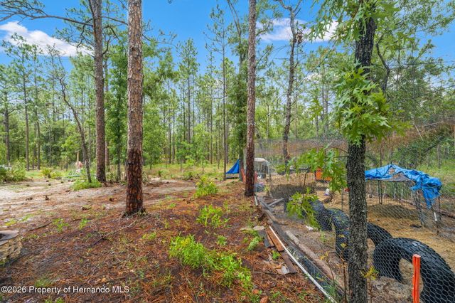 18336 Macek Road, Weeki Wachee, FL 34614