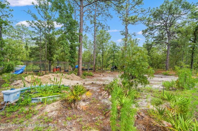 18336 Macek Road, Weeki Wachee, FL 34614