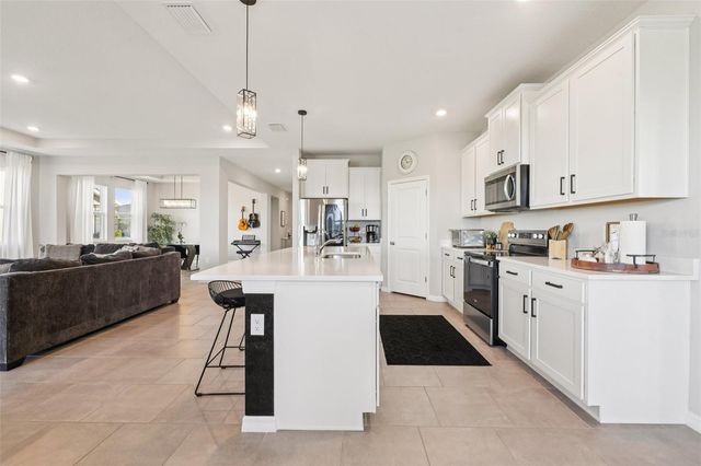 10509 BRIDGEGATE HEIGHTS LOOP, San Antonio, FL 33576