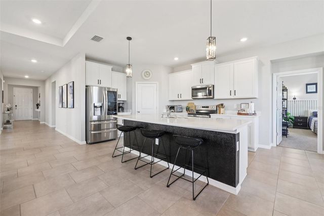 10509 BRIDGEGATE HEIGHTS LOOP, San Antonio, FL 33576