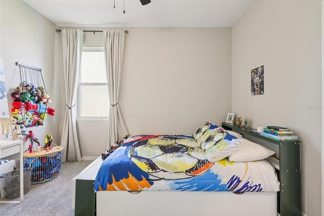 10509 BRIDGEGATE HEIGHTS LOOP, San Antonio, FL 33576