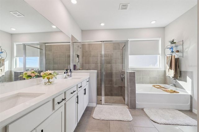 10509 BRIDGEGATE HEIGHTS LOOP, San Antonio, FL 33576