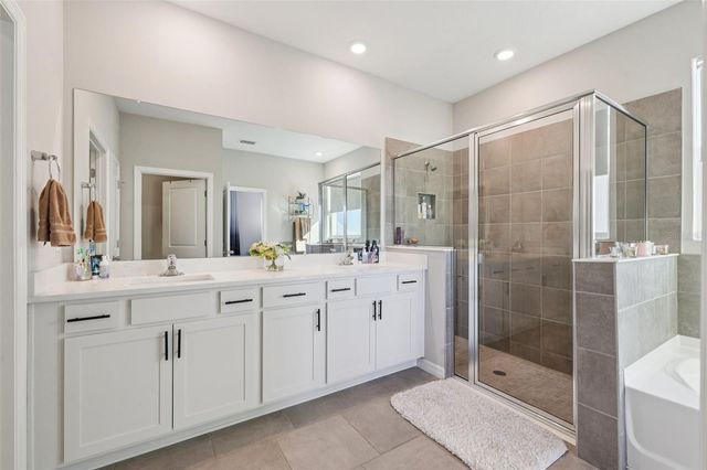 10509 BRIDGEGATE HEIGHTS LOOP, San Antonio, FL 33576