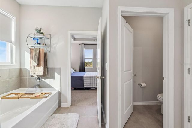 10509 BRIDGEGATE HEIGHTS LOOP, San Antonio, FL 33576