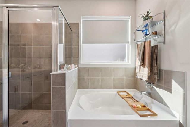 10509 BRIDGEGATE HEIGHTS LOOP, San Antonio, FL 33576