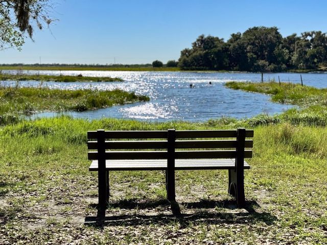 10509 BRIDGEGATE HEIGHTS LOOP, San Antonio, FL 33576