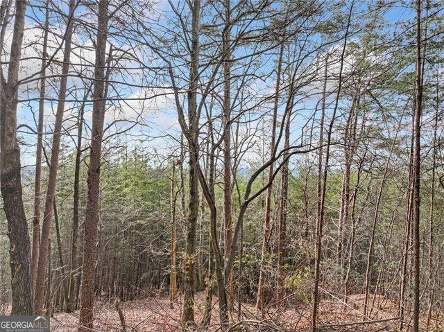 LOT 28 Crown Mountain Way, Dahlonega, GA 30533