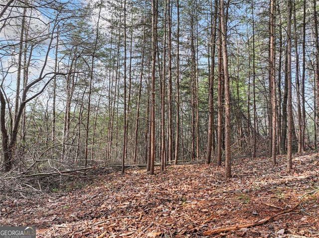 LOT 28 Crown Mountain Way, Dahlonega, GA 30533