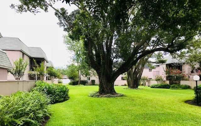 525 CONWAY ROAD 108, Orlando, FL 32807