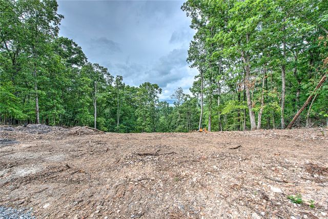 Lot 11 Eagle Cove Road, Eureka Springs, AR 72631