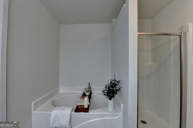 3173 Millington Place, Duluth, GA 30096