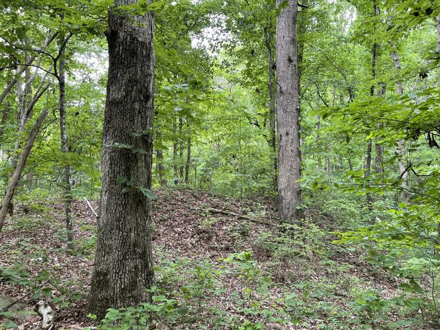 328 James Turner Rd, Tracy City, TN 37387