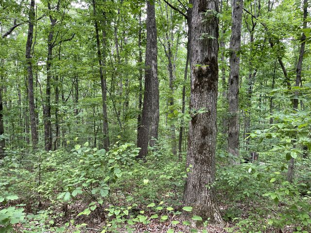 328 James Turner Rd, Tracy City, TN 37387